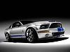 2008 Ford Shelby GT500KR-1.jpg