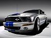 2008 Ford Shelby GT500KR-4.jpg