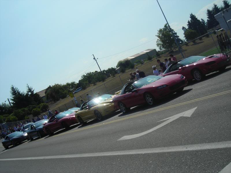 Name:  DSCN3167.jpg
Views: 15
Size:  57.6 KB