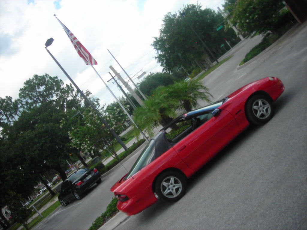 Name:  DSCN7925.jpg
Views: 10
Size:  92.0 KB