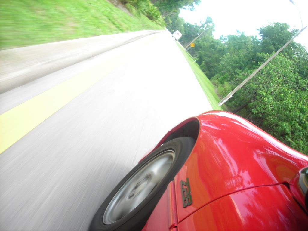 Name:  DSCN7910.jpg
Views: 12
Size:  83.2 KB