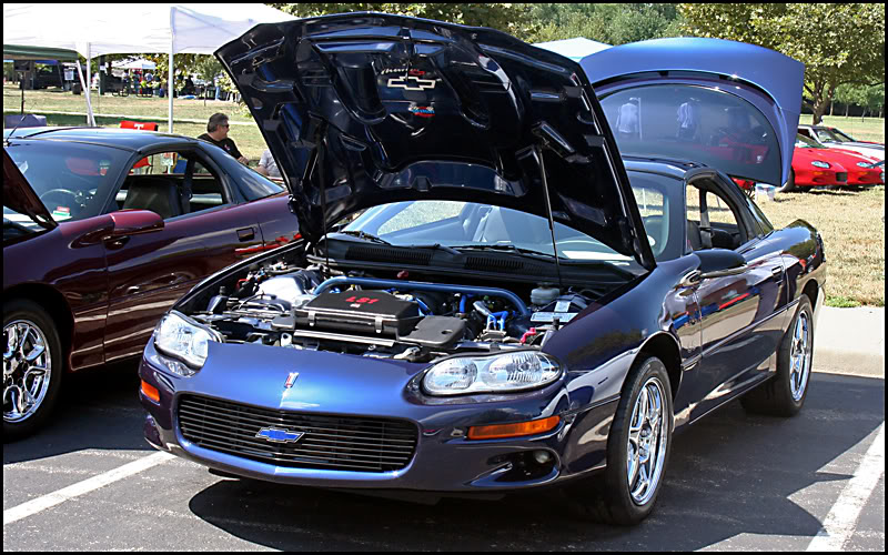 Name:  IMG_1527p.jpg
Views: 12
Size:  136.8 KB