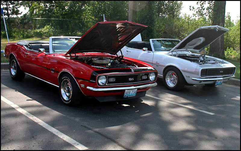Name:  IMG_1508p.jpg
Views: 9
Size:  113.1 KB