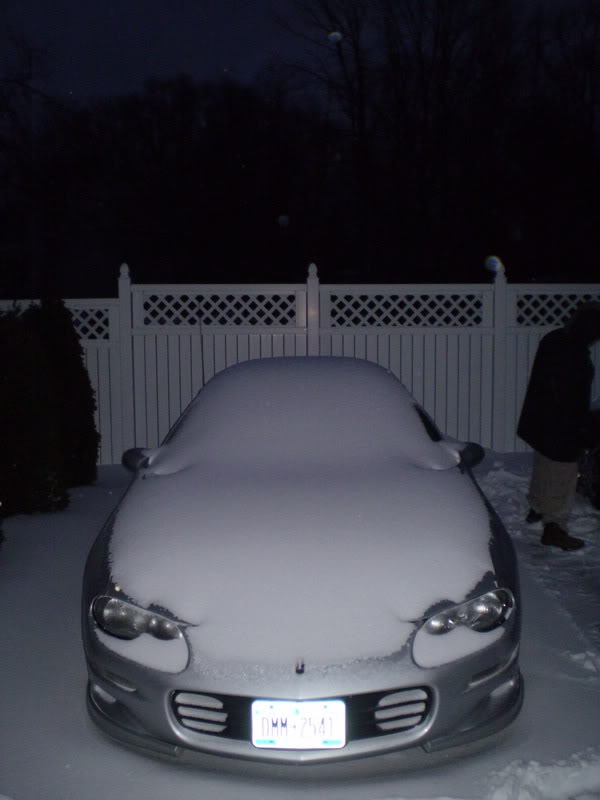 Name:  sno2.jpg
Views: 10
Size:  43.6 KB