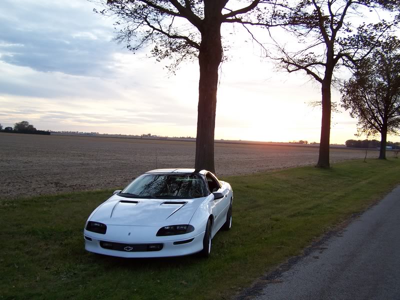 Name: 000_0115.jpg
Views: 17
Size: 109.3 KB
