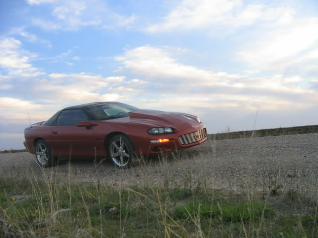 Name:  mycar003.jpg
Views: 12
Size:  42.5 KB