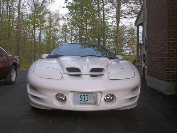 Name: talowfront.jpg
Views: 10
Size: 60.4 KB