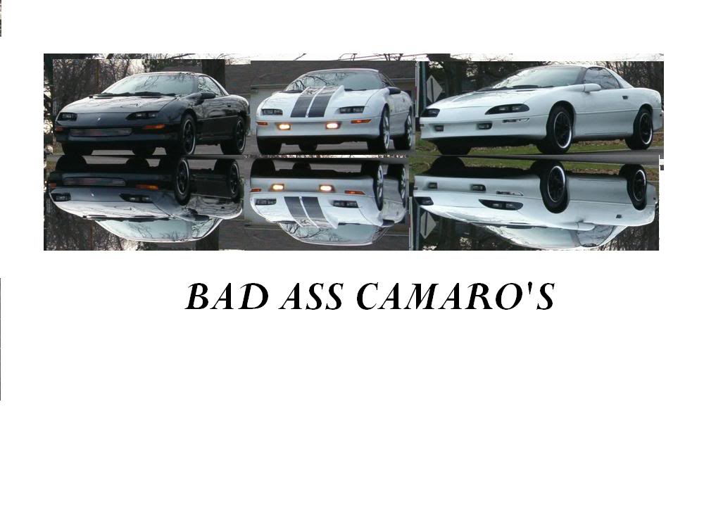 Name:  BADASSCAMAROS.jpg
Views: 11
Size:  61.7 KB
