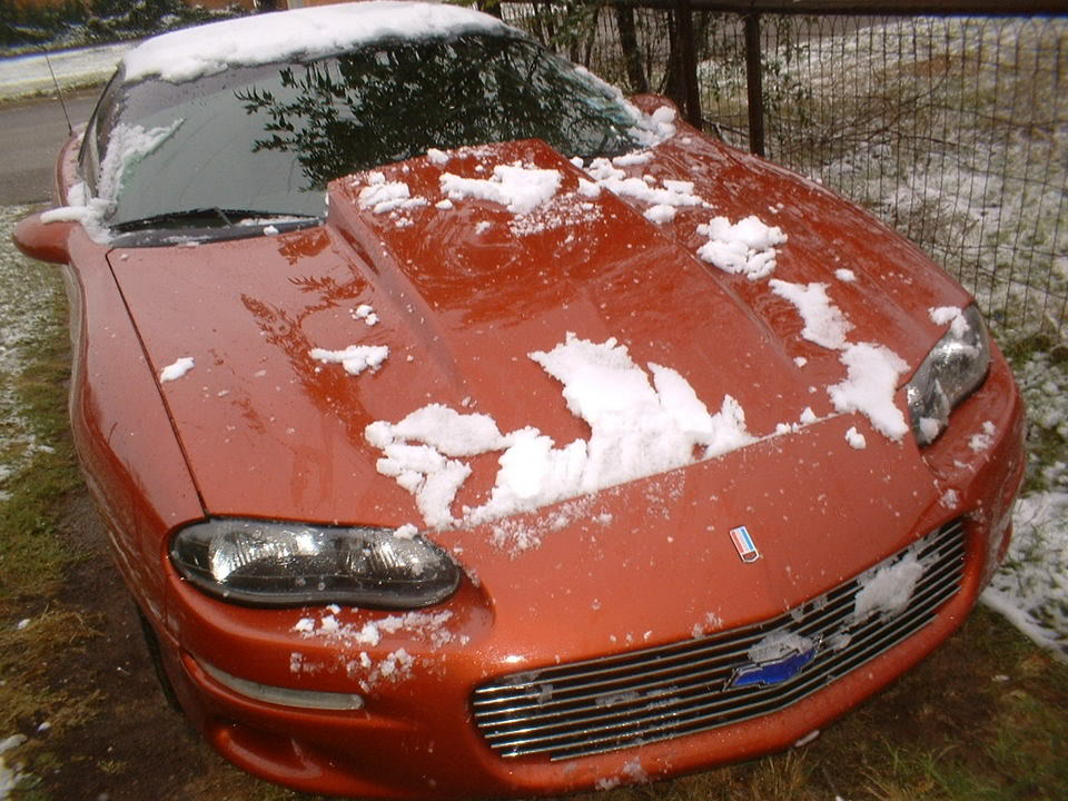 Name:  WYandcar038.jpg
Views: 9
Size:  137.0 KB