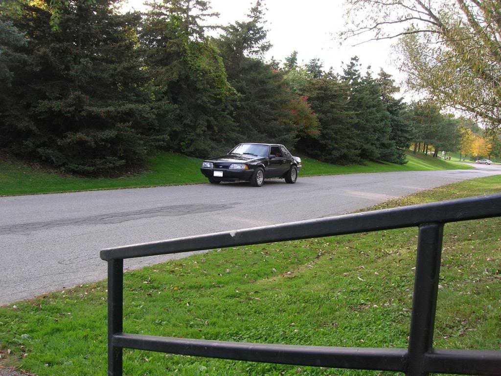 Name:  DSCN3044.jpg
Views: 28
Size:  165.7 KB