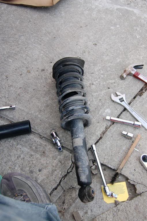 Name:  DSC_0330.jpg
Views: 19
Size:  101.4 KB