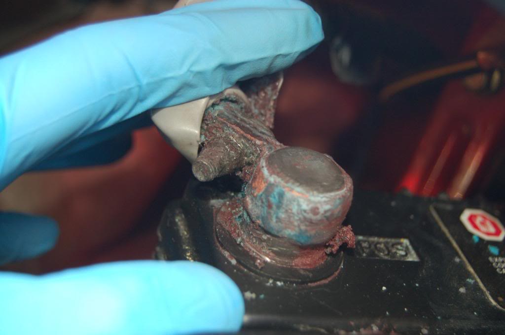 Name:  DSC_0270.jpg
Views: 22
Size:  74.3 KB