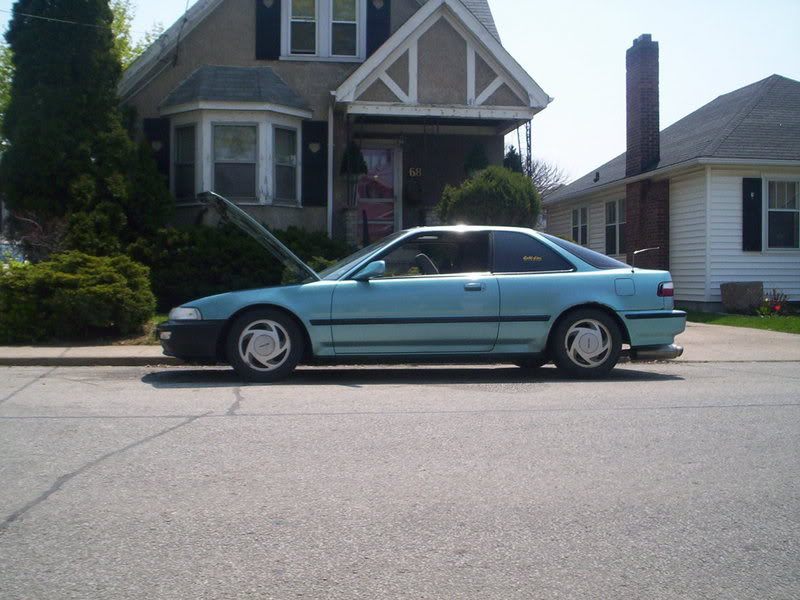 Name:  000_0439.jpg
Views: 110
Size:  82.5 KB