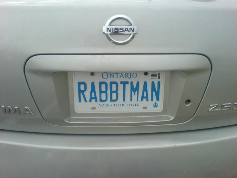 Name:  RABBTMAN.jpg
Views: 25
Size:  33.7 KB