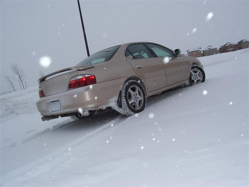 Name:  100_3002Medium.jpg
Views: 36
Size:  33.3 KB