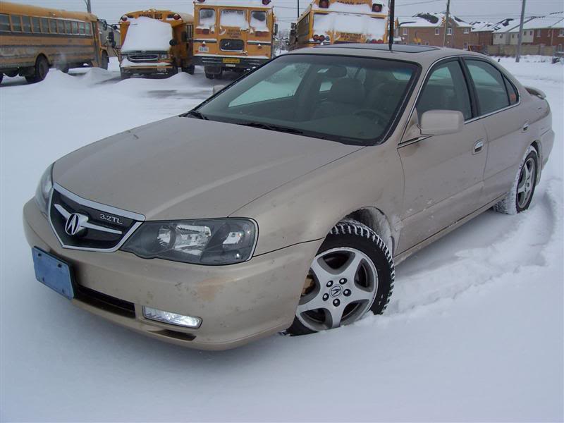 Name:  100_3009Medium.jpg
Views: 35
Size:  54.0 KB