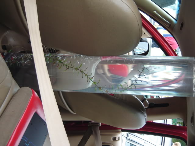Name: DSC03443.jpg
Views: 10
Size: 50.8 KB