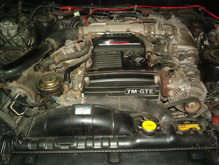 Name:  mk3_01062.jpg
Views: 125
Size:  87.2 KB