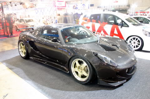 Name:  cfelise01.jpg
Views: 21
Size:  33.4 KB