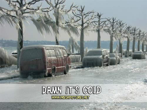 Name:  ice1.jpg
Views: 19
Size:  40.7 KB