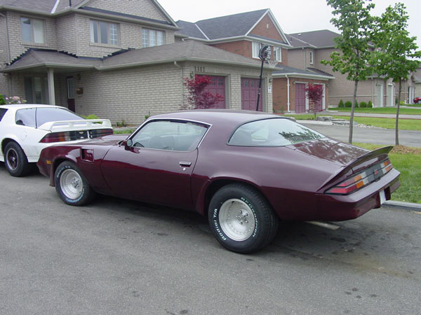 Name:  1981CamaroZ28.jpg
Views: 95
Size:  61.9 KB