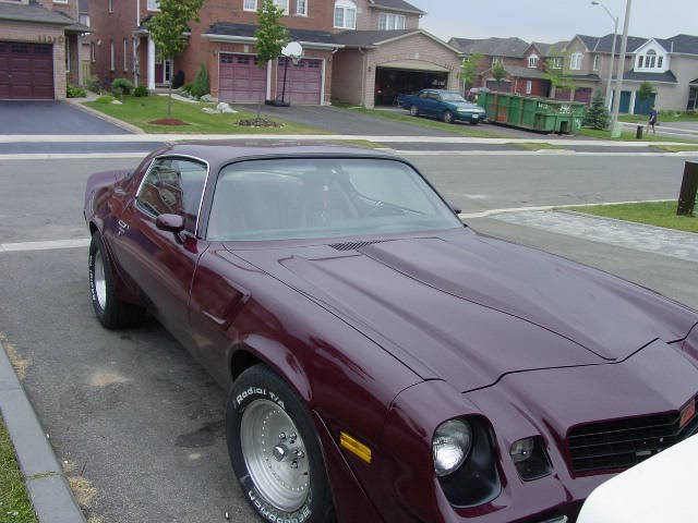 Name:  1981CamaroZ28-4.jpg
Views: 97
Size:  80.4 KB