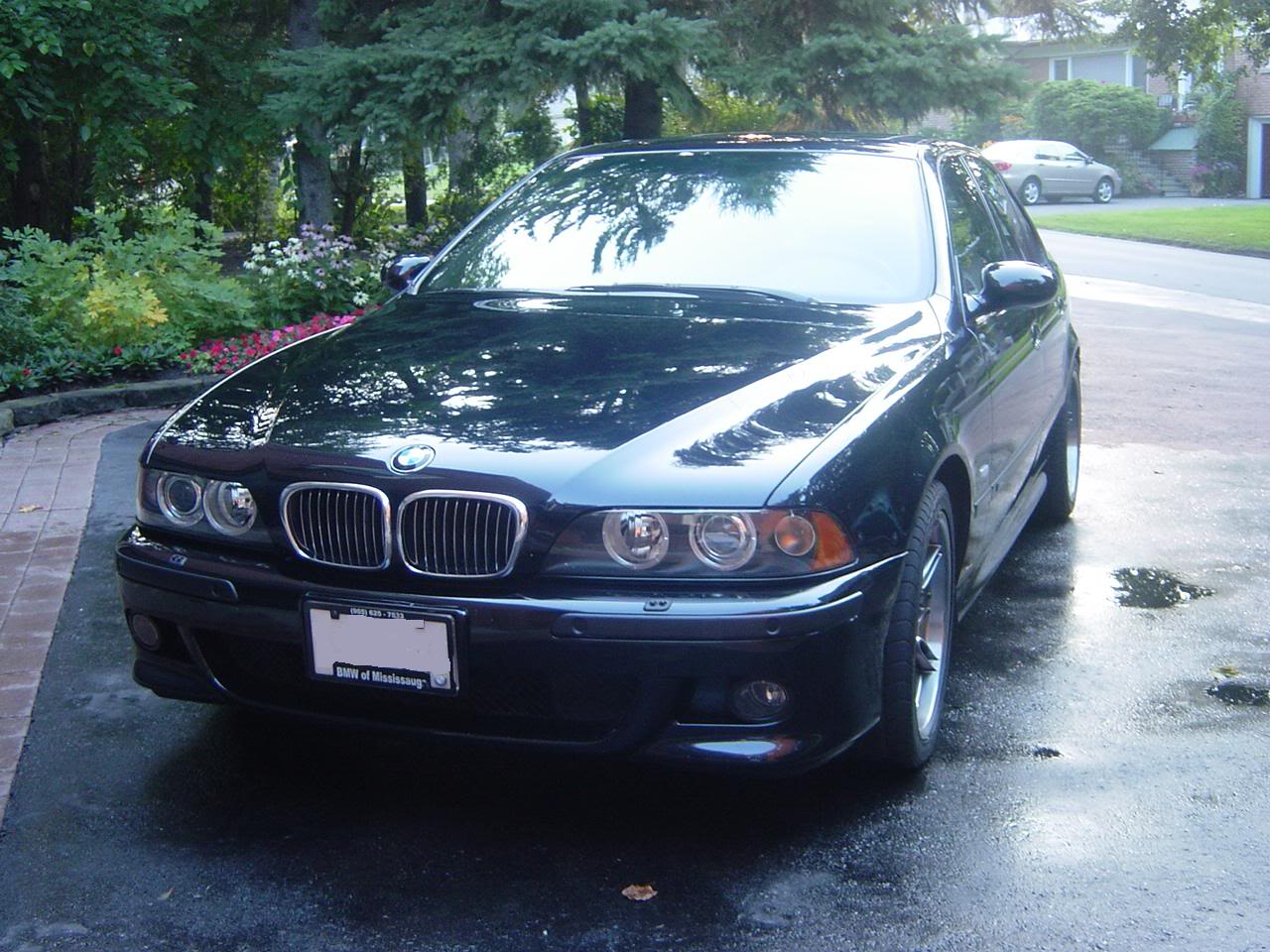 Name:  DSC01873.jpg
Views: 124
Size:  192.8 KB