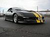 Black Stripes on Yellow...-259484_169_full.jpg