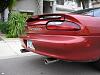 Real pics of new tails...-tails2.jpg