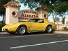 Pictures of the stingray!-thestingray.jpg