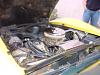 Pictures of the stingray!-thestingray4.jpg