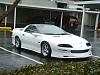 Better Ground-FX Pictures (Daytime)-ground-effects-18.jpg