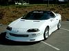 By far my &quot;BEST&quot; pictures!-custom-z28-33.jpg