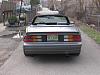 My Best pics ever-img_0196-large-2-.jpg