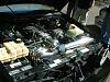 Today's Cruise Pictures-camaro-cruzers-34.jpg