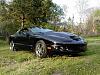Lovin spring... Some pics (56k?)-yea3.jpg
