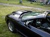Lovin spring... Some pics (56k?)-yea5.jpg