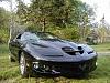 Lovin spring... Some pics (56k?)-yea7.jpg