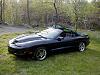 Lovin spring... Some pics (56k?)-yea8.jpg