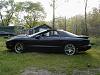 Lovin spring... Some pics (56k?)-yea9.jpg