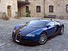CCX My Dream car-veyron06_06.jpg