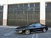 fresh pics-new-010.jpg