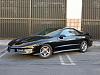 fresh pics-new-012.jpg