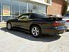 a few new pics-new-020.jpg