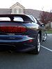 want some more?-new-016.jpg