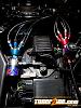 Black Devil-_mg_1828.jpg