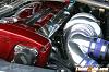 Top Speed Skyline-img_3769%2520-1-.jpg