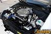 Mike Wasser's 2004 Infiniti G35 Coupe ***pic's &amp; info***-38.jpg