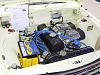 Datsun Lovers Unite-eric-bluebird-enginebay-lrg.jpg
