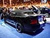 2007 Ford Shelby Mustang GT500 40th Anniversary ***pic's &amp; info***-3.jpg